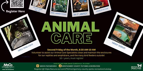 Animal Care Volunteer Opportunity