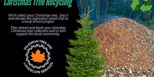 Christmas tree recycling 