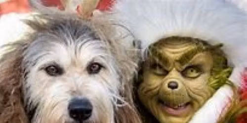 Fur Babies with the Grinch and Holiday Market
