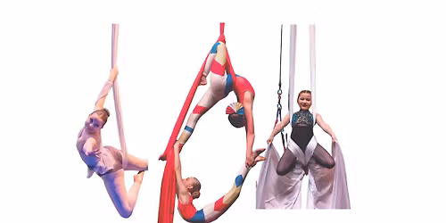 Swiftie Eras Aerial Party