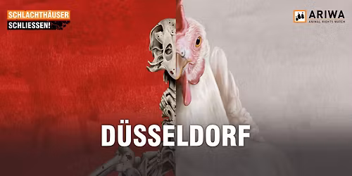 Demo in D\u00fcsseldorf: "Schlachth\u00e4user schlie\u00dfen!"