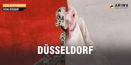 Demo in D\u00fcsseldorf: "Schlachth\u00e4user schlie\u00dfen!"