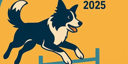 Concours d'ob\u00e9issance