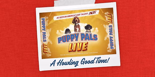 Puppy Pals Live