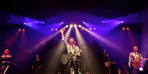 Friday Night Fever: The NY Bee Gees