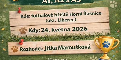 Horn\u00ed \u0158asnice - Zkou\u0161ky, ceny, z\u00e1zem\u00ed (3x zk + 3x J0)