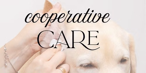 Cooperative Care