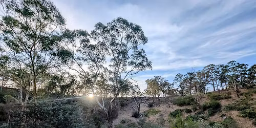 PGMTB Club Sunday Social Ride, from Yellow Gum car park