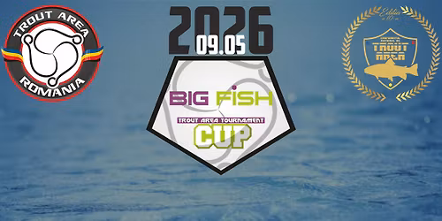 BigFish CUP