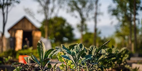 Poughkeepsie Farm Project Herbal First Aid and Skincare Workshop