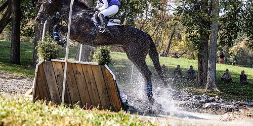 EVE Dressage\/Showjumping Schooling Show