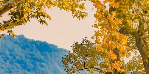 \ud83c\udf41\u0e40\u0e0b\u0e35\u0e48\u0e22\u0e07\u0e44\u0e2e\u0e49~\u0e0b\u0e39\u0e42\u0e08\u0e27~\u0e2b\u0e32\u0e07\u0e42\u0e08\u0e27\ud83c\udf42