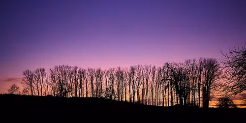 Reflets symphoniques | Concert symphonique | Capu\u00e7on + Zientara