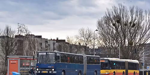 Budapesztem po dolinie Bugu i Liwca