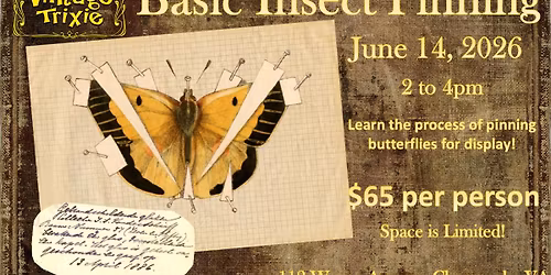 Basic Insect Pinning Class