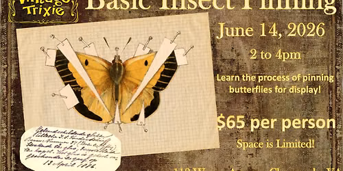 Basic Insect Pinning Class