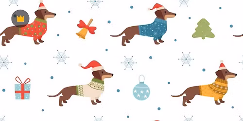 December Dayton Doxie Group Meet Up