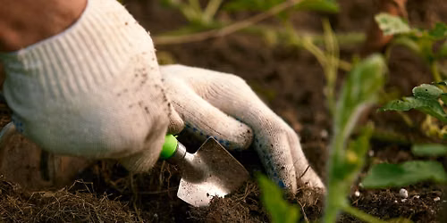 Grow Happy - Horticultural Healing