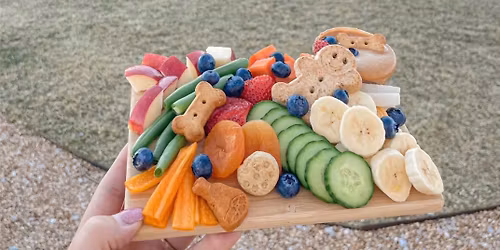 The Art of Barkuterie at Finley Farms