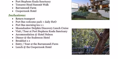 Nelson Bay Escape: Dolphins, Koalas & Coastal Views