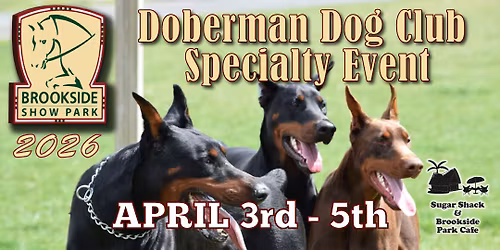 Doberman Dog Club Specialty Event