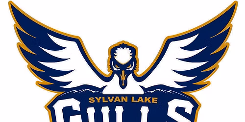 Lethbridge Bulls vs. Sylvan Lake Gulls