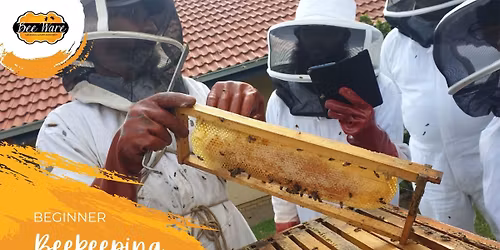 MIDRAND - Easy Buzzing Bee Course - Beginner