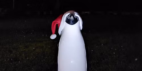 SFG-Adventsfenster 2025