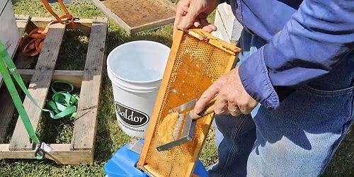 Honey Harvest w\/ Chris Kelly