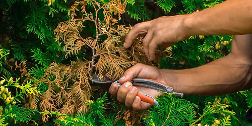 Lawn & Landscape Workshop Series: Part 3