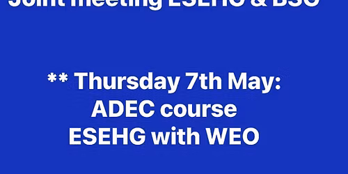 Joint meetings   BSG.  WEO 