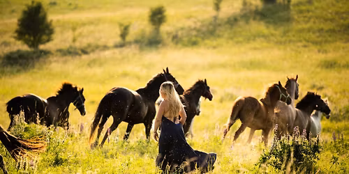 Warsztaty Moc Kobiecej Sensualno\u015bci
