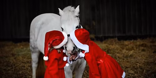 New Year Unaffiliated Show Jumping