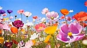 RECLAIM YOUR LIFE: Stop Waiting. Start Creating the Life You Long For