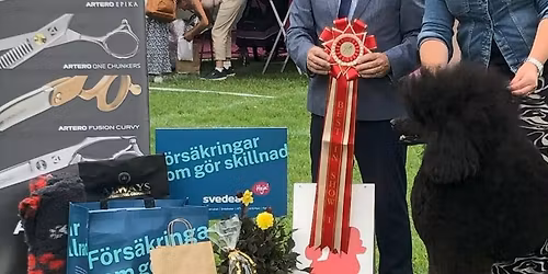 Officiell utst\u00e4llning i Pite\u00e5