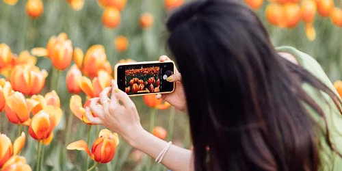 Smartphone Photography