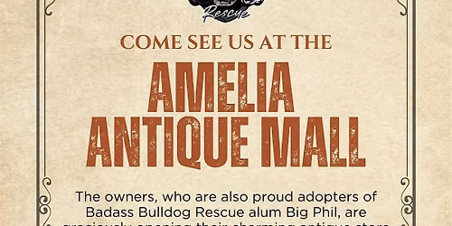 Bulldogs & Antinques