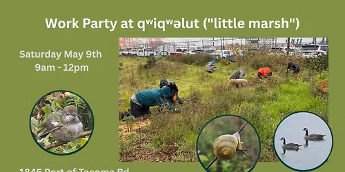 Work Party at q\u02b7iq\u02b7\u0259lut ("little marsh")