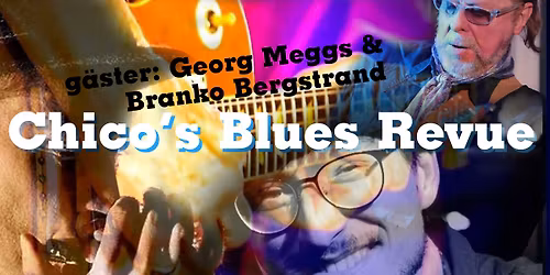 Chico's Blues Revue g\u00e4ster: Georg Meggs & Branko Bergstrand