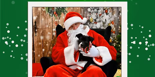 Photos with Santa Paws