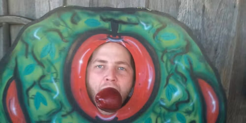 Adam Bolt Sings His Songs Live