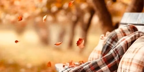 51st Annual Apple Days Festival 