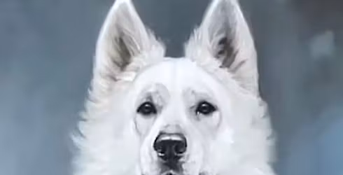  Cosmic Dog Day Celebration of Love and New Moon Qoya