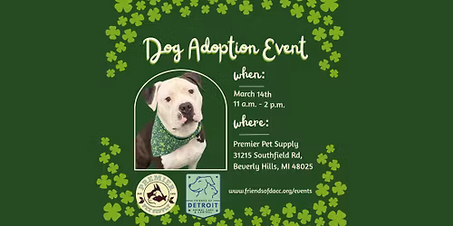 Dog Adoptions at Premier Pet Supply in Beverly Hills