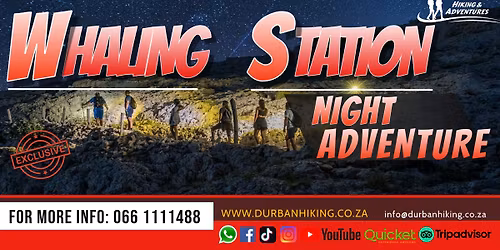 Whaling Station Night Adventure