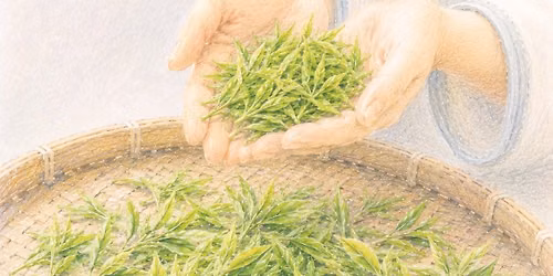 【台湾茶巡礼ビンテージ茶会】
