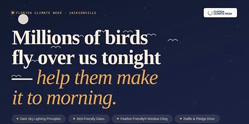 Lights Out, Jacksonville: Birds, Migration, Light and Glass