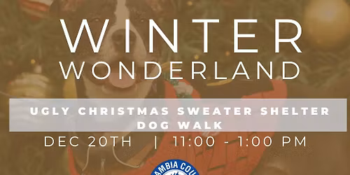 Winter Wonderland Shelter Dog Walk