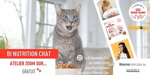ZOOM SUR... BI-NUTRITION CHAT
