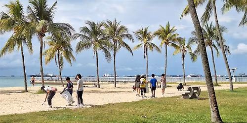 Contemplative Coastal Clean-up (25 Apr 2026)